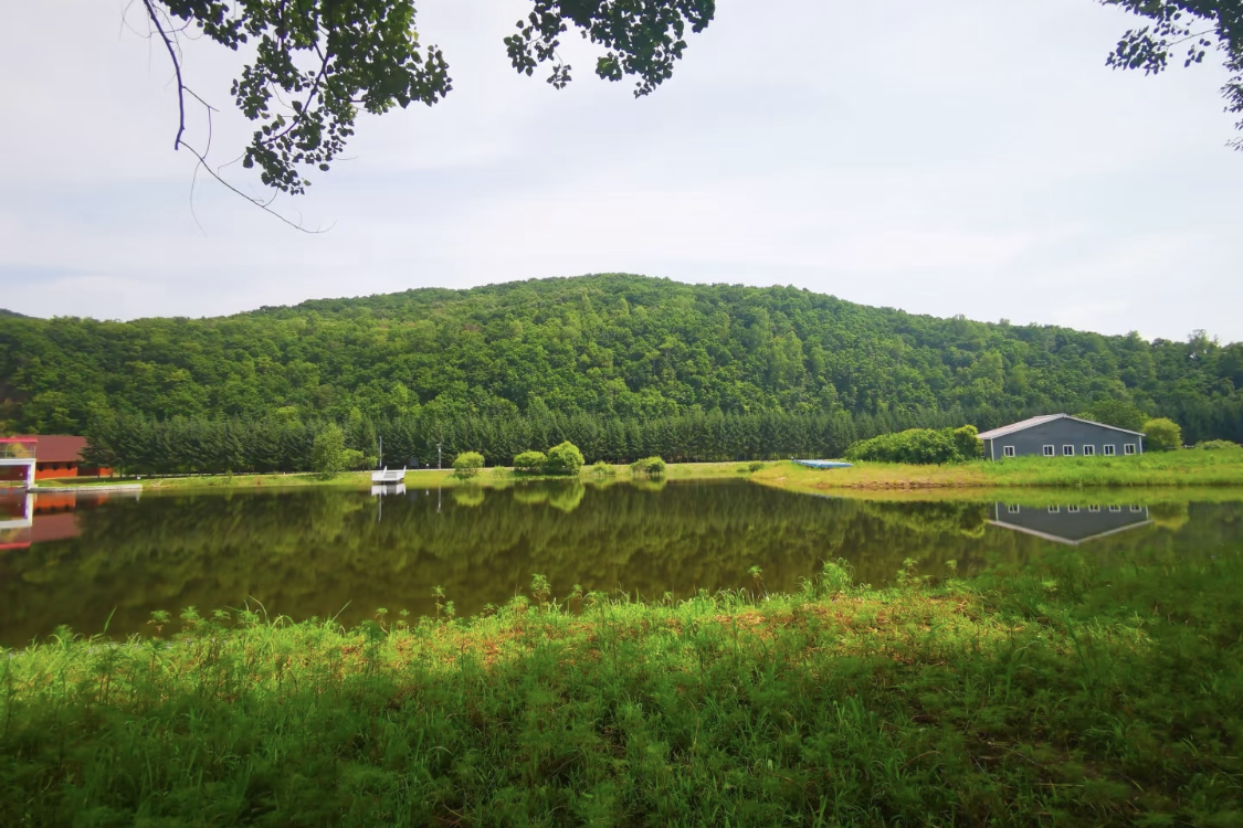 Hegang Forest Park